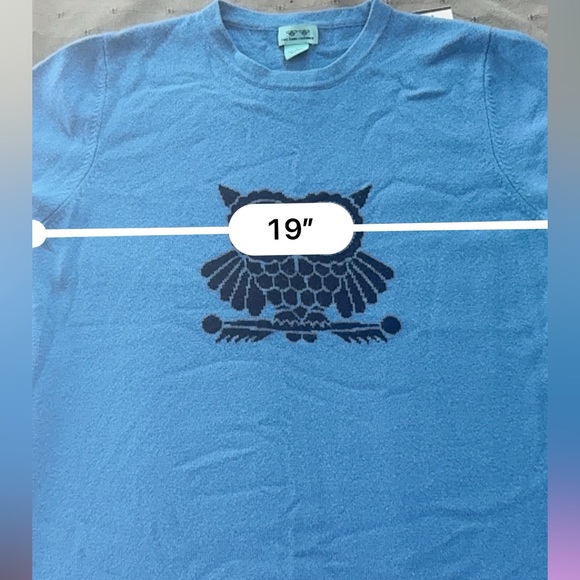 Two Bees 🐝 cashmere Owl 🦉 blue sweater Large novelty Tuckernuck Nantucket preppy - Picture 6 of 8
